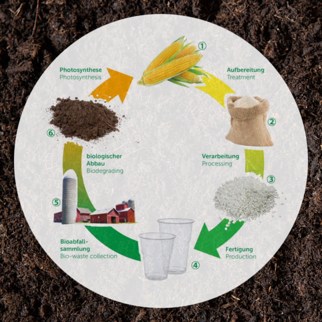 SoilCycle- Geschlossener Abfallkreislauf für Einweggeschirr