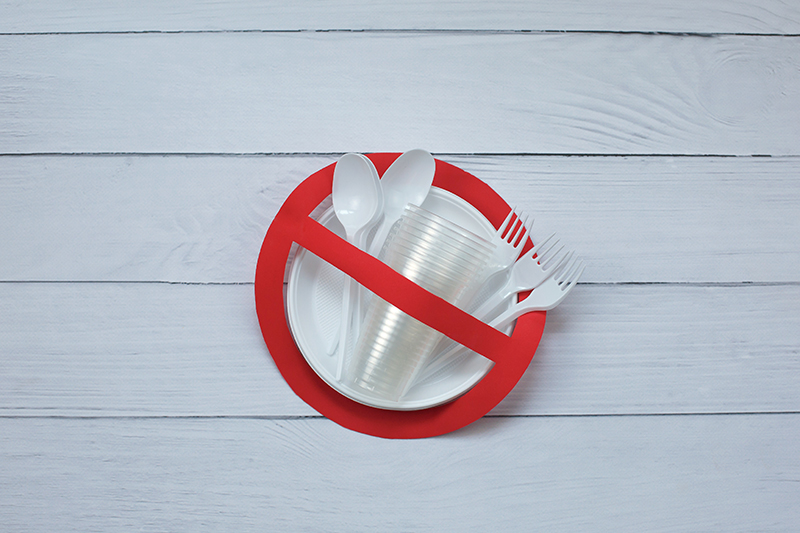 Sind Take Away Verpackungen / Menüboxen aus Bioplastik besser als herkömmliche Menüboxen aus Plastik?