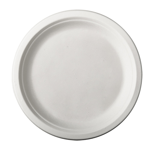 12 x 12 Teller, Zuckerrohr "pure" ungeteilt Ø 23 cm · 2 cm weiss