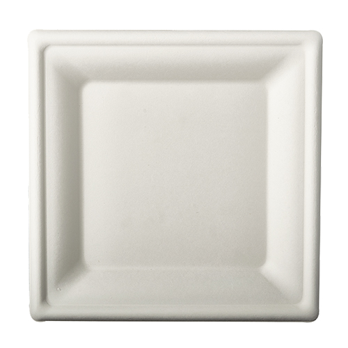 1 x 100 Teller, Zuckerrohr "pure" eckig 20 cm x 20 cm weiss