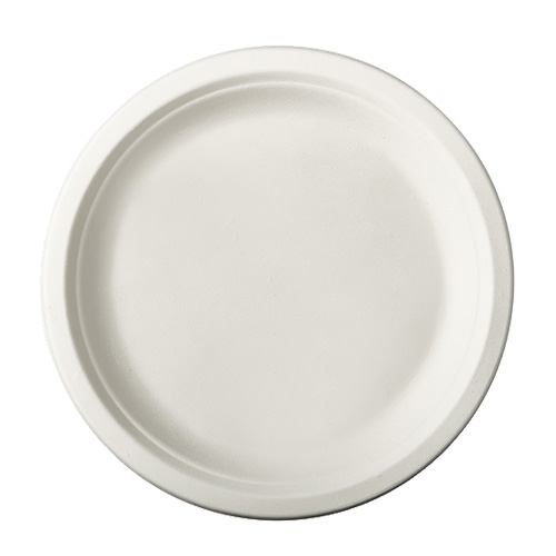 10 x 50 Teller, Zuckerrohr "pure" ungeteilt Ø 23 cm · 2 cm weiss