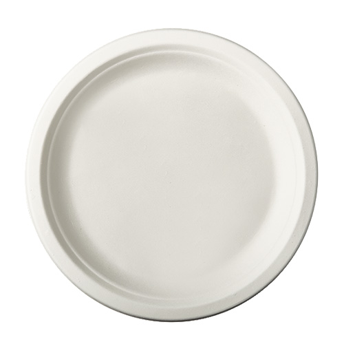 1 x 100 Teller, Zuckerrohr "pure" ungeteilt Ø 23 cm · 2 cm weiss