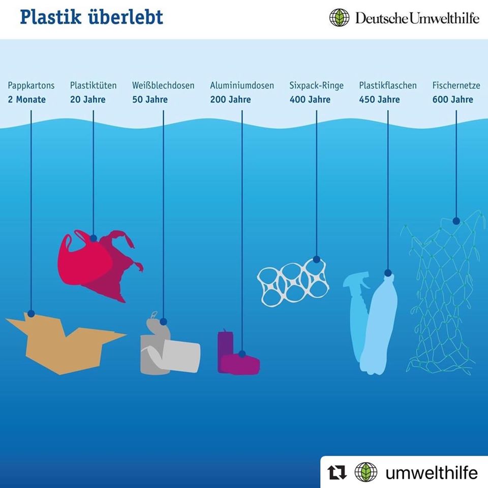Plastik im Meer- Wie lange dauert der Zerfall?