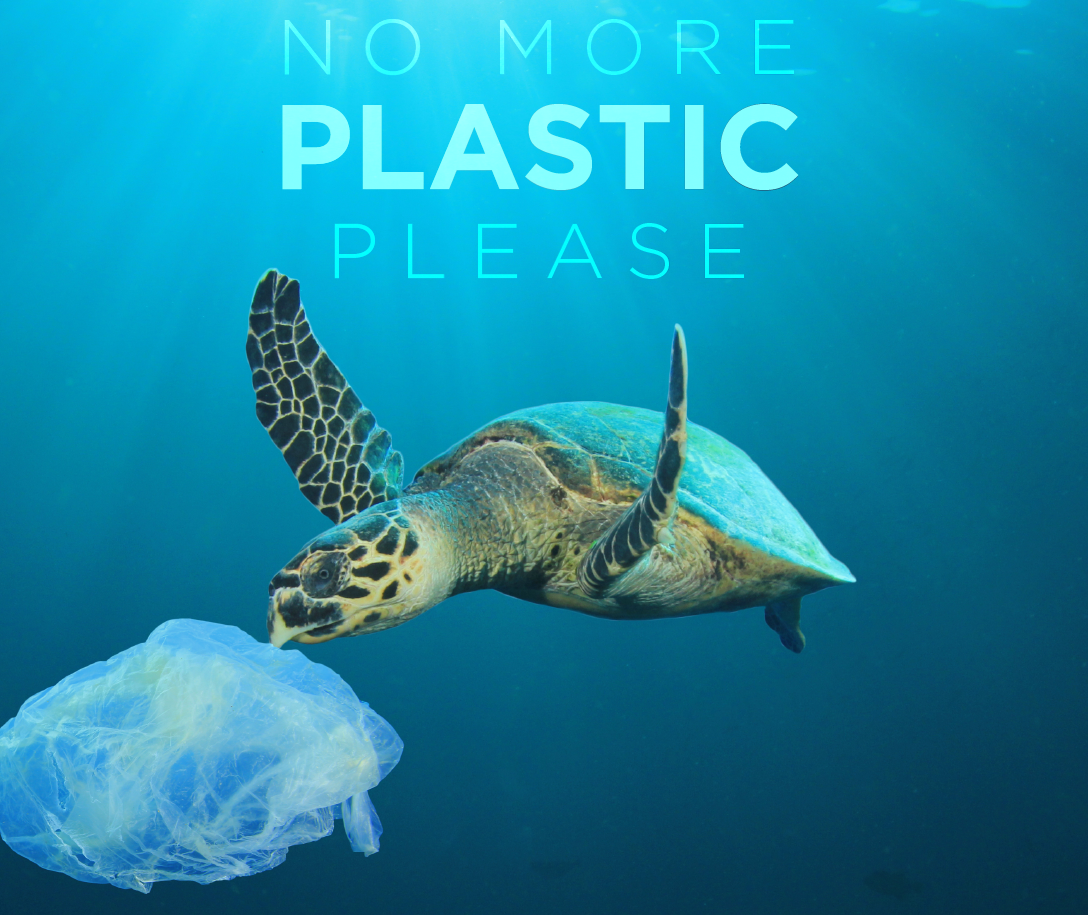 Gesetz EU Plastikverbot