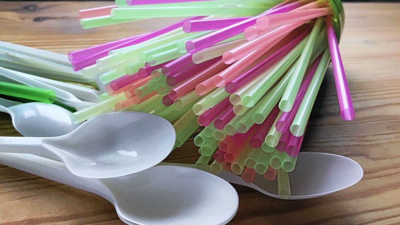 Plastikverbot 2021 vs. 2024 - Ein Fazit