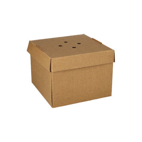 10 x 20 Burgerboxen, Pappe "pure" 10 cm x 13 cm x 13 cm braun faltbar, klein